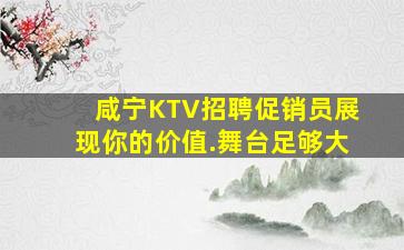 咸宁KTV招聘促销员展现你的价值.舞台足够大
